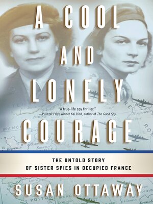 A Cool and Lonely Courage - ebook